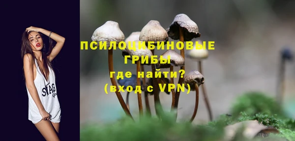 MDMA Белокуриха
