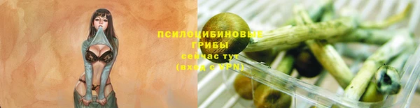 хмурый Белоозёрский