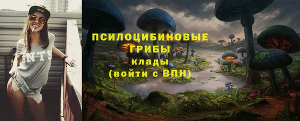 марки nbome Беломорск