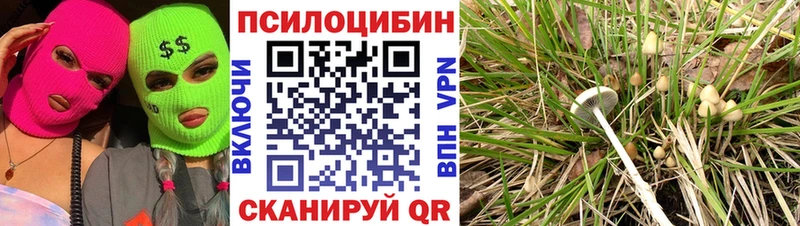 купить   маркетплейс формула  Псилоцибиновые грибы Psilocybe  Гаврилов-Ям 